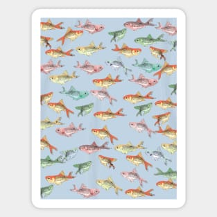 Cute Fish - colorful illustration Magnet